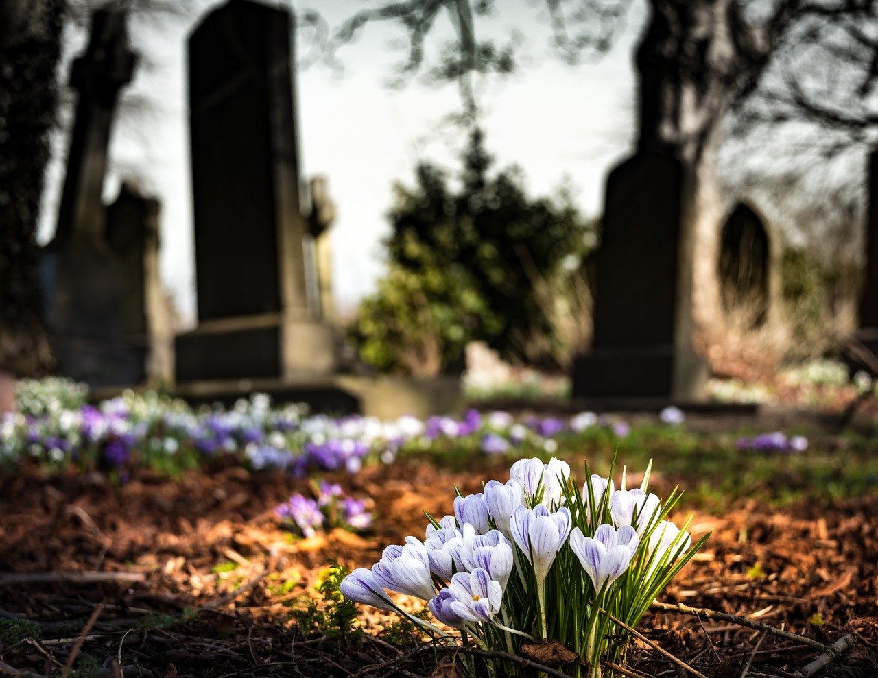 CEMENTERIO ESPAÑA TODOS LOS SANTOS