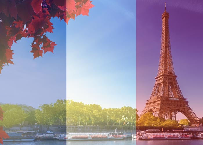 Cursos de Frances